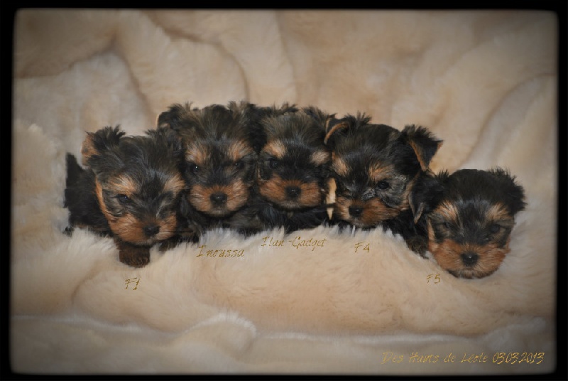 Photos